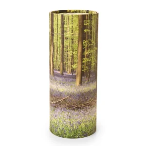 BW Bluebell Forest-Scattering cylinder