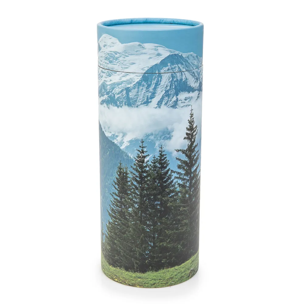 BW-Mountain-Scene-Scattering-cylinder