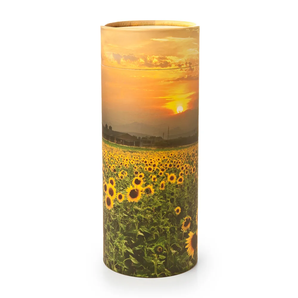 BW Sunflower Fields-Scattering Cylinder