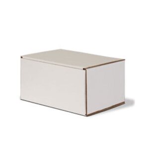 Temporary Cardboard Urn